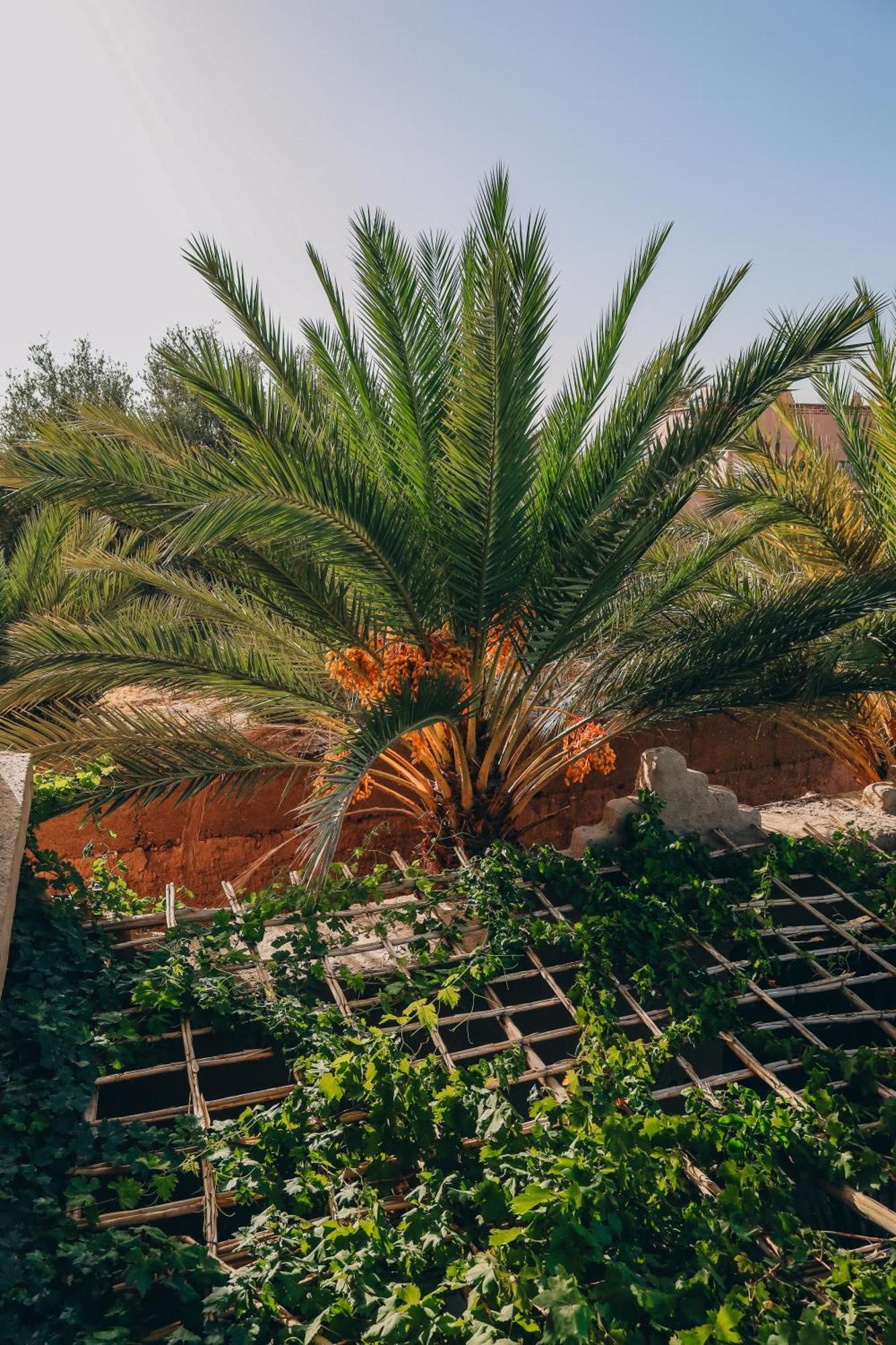 Riad Aman Скура Экстерьер фото